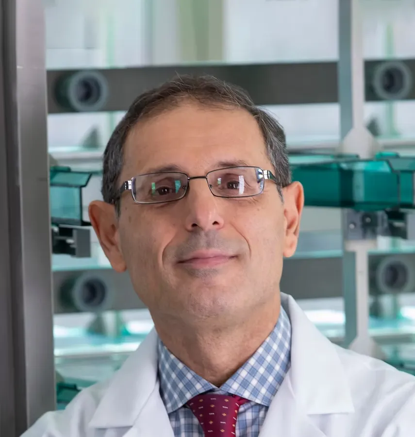 Professor Domenico Pratic&oacute;