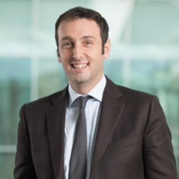Professor Giulio Di Gravio