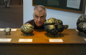 Professor Gy&ouml;rgy Buzs&aacute;ki