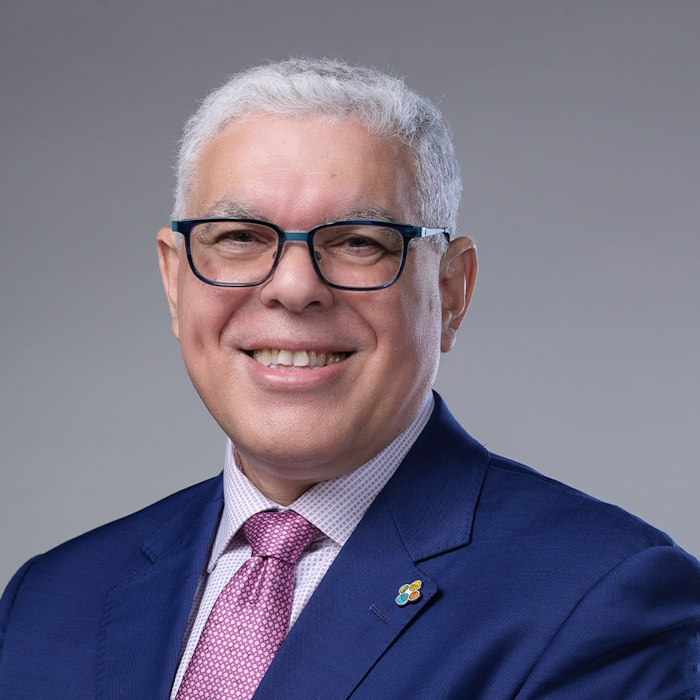 Professor Imed Gallouzi