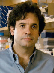 Dr. Rudolph E. Tanzi