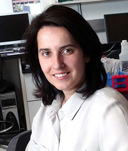 Dr. Susana Martinez-Conde