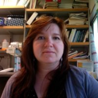Professor Yelena V. Budovskaya